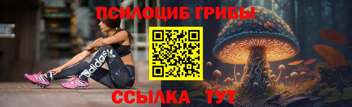 Галлюциногенные грибы Psilocybe Вольск