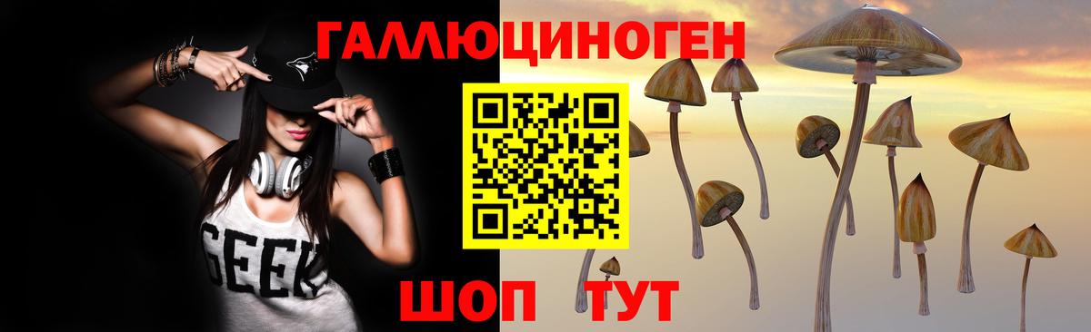 цены наркотик  Галлюциногенные грибы Psilocybine cubensis  Вход с VPN  Вольск 